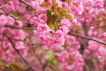 嘉兴海盐5线下个人借款平台一站式服务，轻松解决资金难题