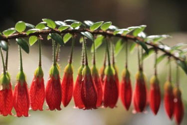 嘉兴海盐5零用贷短借：轻松解决临时资金需求