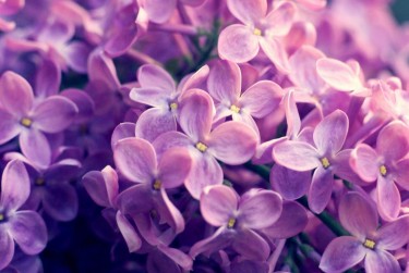 嘉兴海盐5企业急用钱贷款攻略：快速融资解燃眉之急